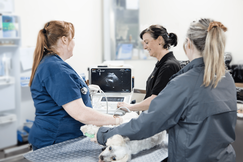 Mediquip Acquires Medical Plus ANZ